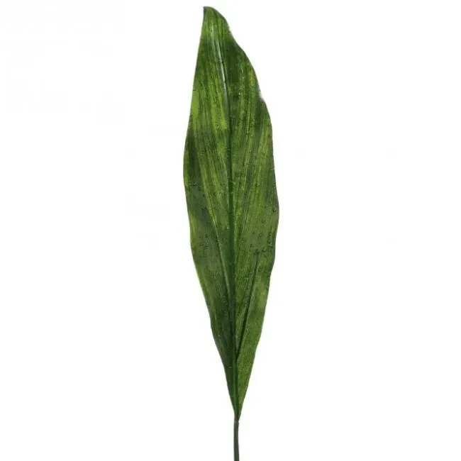 Liść podłużny Calla 102cm