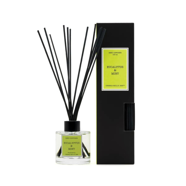 Scented Diffuser 100ml Eucalyptus & Mint