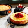 Non-Stick Springform Pan 20cm - 6