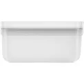 Lunchbox Fresh and Save 500ml 15x8x7cm - 6
