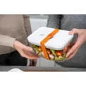 Set of 3 Fresh&Save Lunchbox Bands - 5