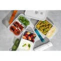 Set of 3 Fresh&Save Lunchbox Bands - 15
