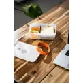 Set of 3 Fresh&Save Lunchbox Bands - 6
