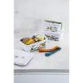 Lunchbox FreshandSave 18x11x7cm 850ml Dinos - 11