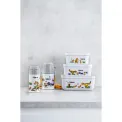 Fresh&Save Lunchbox 15x8x7cm 500ml Dinos - 9
