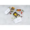 Fresh&Save Lunchbox 15x8x7cm 500ml Dinos - 4