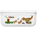 Fresh&Save Lunchbox 21x14x9cm 1.6L Dinos - 17