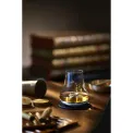 Whisky Tasting Glass - 7