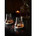 Whisky Tasting Glass - 4