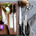 Kanren 10cm Vegetable and Fruit Knife - 2