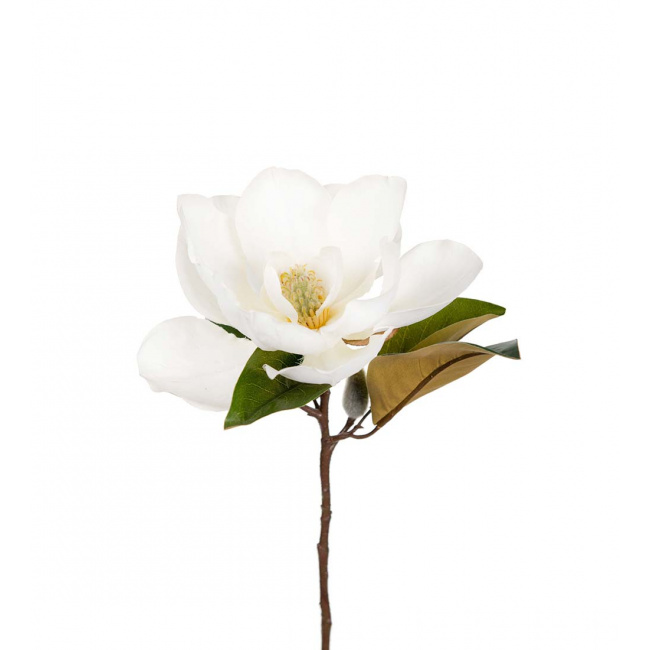 Magnolia 50cm biała