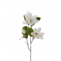 Magnolia Plant 70cm White - 1