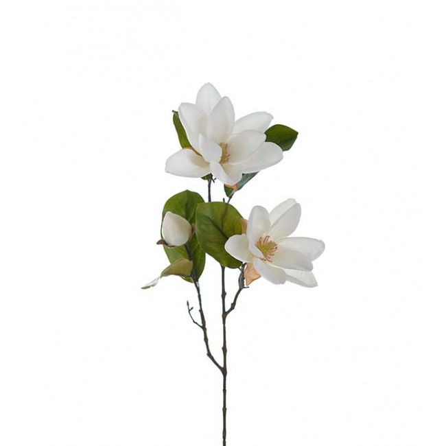 Magnolia 70cm biała