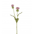 Thistle Plant 45cm Pink - 1
