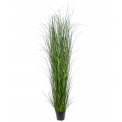 Grass in Pot 170cm - 1