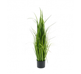 Trawa w donicy 110cm