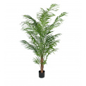 Areca Tree Plant 180cm - 1