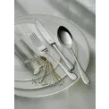 Kent Cutlery Set 66 pieces (for 12 people) - 3
