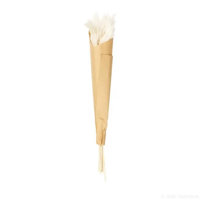 Trawa pampasowa 30-35cm (6 szt.)
