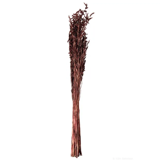 Trawa owsiana 70-75cm 100g
