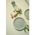 Saisons Agave Plate 26.5cm Dinner - 3