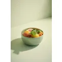 Misa Saisons Agave 22x11cm - 5