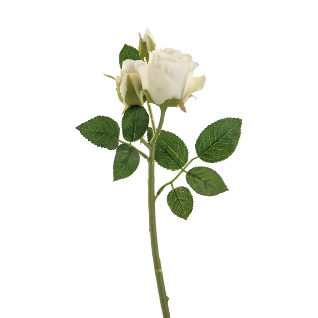 Róża 40cm lilly-ivory