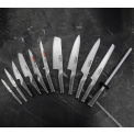 Set of 10 Knives + Sharpener in Smooth Block - 2