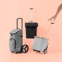 Wózek Carrycruiser 40l frame twist sky rose - 11