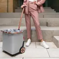 Wózek Carrycruiser 40l frame twist sky rose - 15