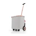 Carrycruiser 40L Frame Twist Sky Rose - 4