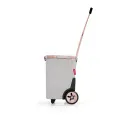 Carrycruiser 40L Frame Twist Sky Rose - 3