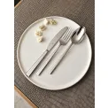 Edita Dinner Knife - 3