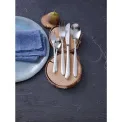 Silk 30-Piece Cutlery Set (6 People) - 6