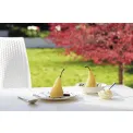 Plate Wild Strawberry 20cm - Breakfast - 7