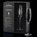 Set of 2 Elegance Champagne Flutes - 2