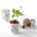 Wild Strawberry Mug 270ml - 6