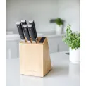 Zestaw 5 noży w bloku Gourmet - 5