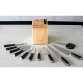 Set of 10 Knives + Scissors in Block with Sharpener - 10