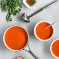 Premium Ladle - 5