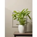 Cover Bruna 25x22cm ivory - 3