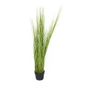 Trawa w doniczce 120cm - 1