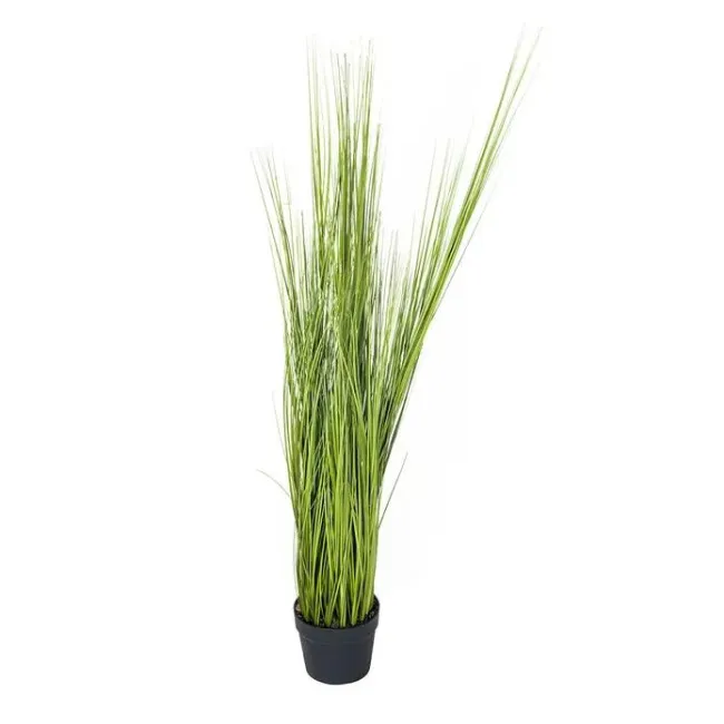Trawa w doniczce 120cm