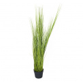 Grass in Pot 120cm