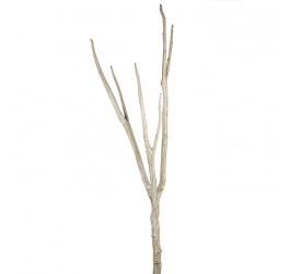 Gałązka Akantus 100cm nature