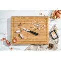 All * Star 10cm Vegetable and Fruit Knife Silver - 3