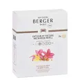 Set of 2 