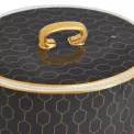 Gio Gold 1L Charcoal Teapot - 4
