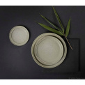 Nesuto Bonsai Breakfast Plate 21cm - 2