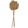 Set of 3 Palm Leaves 60-70cm - 1